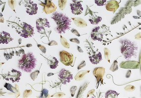 Flizelina Dekoratív Fotótapéta Hálószobába Szárított virágok 312x219 Ragasztó