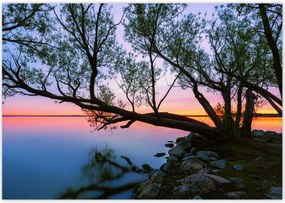 Poszterek 100x70 Sziklák Fa Tó