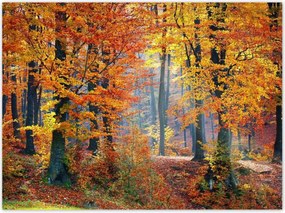 Poszterek 135x100 Arany ősz
