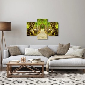 Kép - Plumeria élő alagútja (90x60 cm)