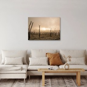 Kép - Csupasz fák (70x50 cm)