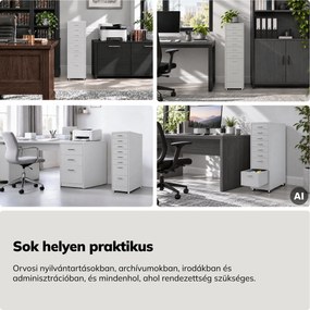 Kartotékszekrény görgőkkel, fém, 8 fiókos, dokumentumokhoz, szürke, 300x1100x600 mm: SARA V8