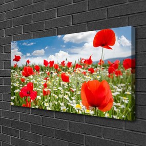 Vászonkép falra Mezei virágok Természet 140x70 cm