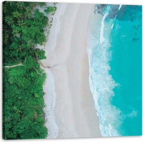 Vászonkép Víz Hullámok Tengerpart Fák Természet 40X40 cm