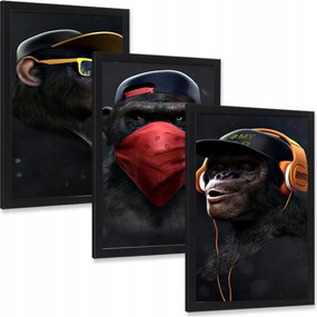 Majom kép szett fali dekoráció 3 db 40x30 cm