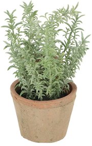 Műnövény (magasság 21,5 cm) Thyme – Esschert Design