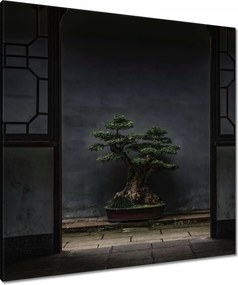 Vászonkép 90x90 Bonsai Fa Kultúra