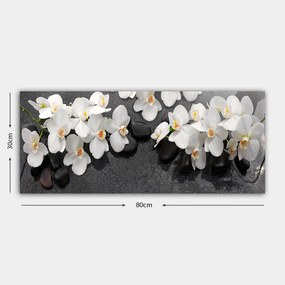 Vászonkép, 30×80 cm – TR483TNS1167