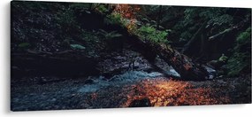 Hegyi folyó képe (120x50 cm)
