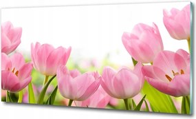 Fotótapéta üvegfalra Rózsaszín tulipánok 100x50