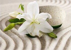 Fotótapéta Liliomok kövek homok természet vinil 208x146 +ragasztó