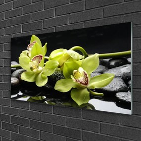 Fali üvegkép Virág orchidea növény 125x50 cm