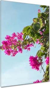 Vászonkép 80x120 Virágok