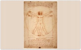 Fotótapéták 416x254 Vitruvius ember