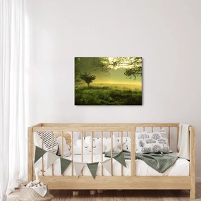 Kép - Ébredő erdő (70x50 cm)