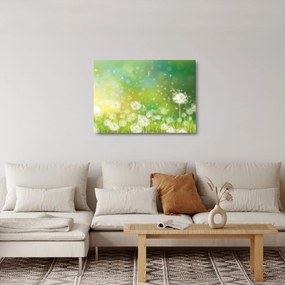 Kép - Virágozatlan pitypang (üvegen) (70x50 cm)