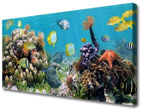 Vászonkép falra Barrier Reef Nature 100x50 cm
