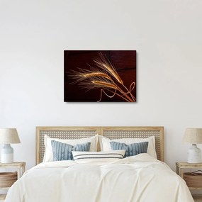 Kép - Rozsfül részlete (70x50 cm)