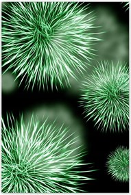 Poszterek 60x90 Vírus Makro Közelkép