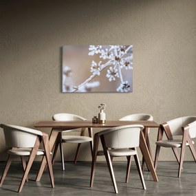 Kép - Fagy (90x60 cm)