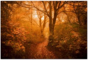 Poszterek 200x135 Tájkép Látvány