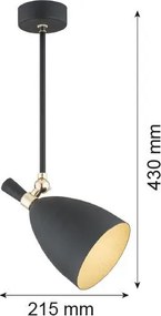 Argon CHARLOTTE 4686 Függőlámpa 1x15W/E27 IP20