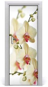 Ajtóposzter öntapadós Orchidea 75x205 cm