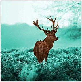 Poszterek 70x70 Szarvas a türkiz erdőben