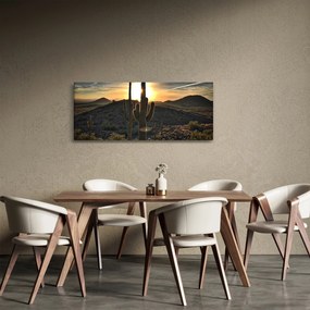 Kép - kaktuszok a napon (120x50 cm)