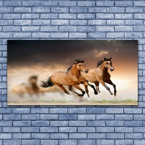 Modern üvegkép lovak Állatok 100x50 cm