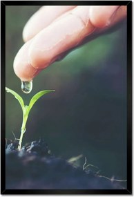 Poszterek keretben 40x60 Palánta növény csepp