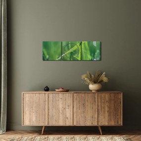 Harmat cseppek képe (órával) (90x30 cm)