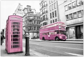 Poszterek 155x105 Púderrózsaszín busz