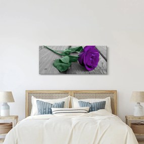 Kép - Lila rózsa zöld szárral (120x50 cm)