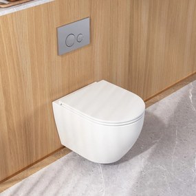 WC vezérlő gomb E tííípusú Chrome