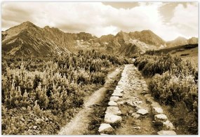 Poszterek 200x135 Tátra Lengyel hegyek Kilátás