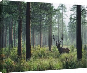 Hálószoba Nappali Konyha Szarvas Természet Erdő Vászon Falikép 60x40