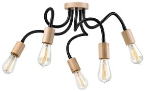 CAMERON mennyezeti lámpa 5xE27/60W/230V