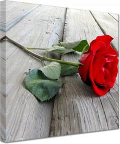 Vászonkép 20x20 Rózsa a deszkákon
