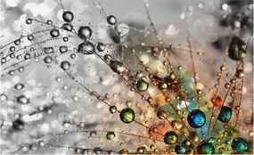 Flizelin tapéta Divatos 3D fali ragasztó harmat ékszerek 416x254 ragasztó