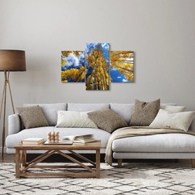 Kép - Aspen (90x60 cm)