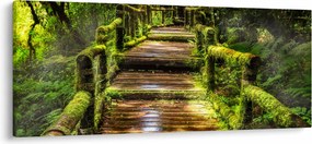 Lépcső az esőerdőben képe (120x50 cm)