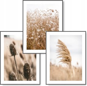 Boho 3 db-os kép szett 30x40 Természet Fű poszter #14