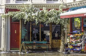 Poszter 86,4x56,8cm Maida Vale a hóban 2, Assaf Frank