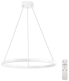 Top Light - LED Dimmelhető csillár zsinóron LED/30W/230V fehér + távirányítás