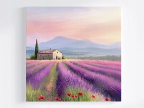 Poszter Tájkép Franciaország Provence Mező Levendula Virágok 40x40