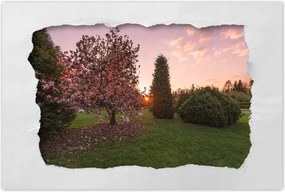 Poszterek 60x40 Kilátás Tájkép