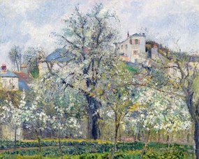 Reprodukció The Vegetable Garden with Trees in Blossom, Spring, Pontoise, Camille Pissarro