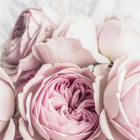 Flizelina fotótapéta Nappaliba és Hálószobába Rózsaszín rózsák 250x250 Ragasztó