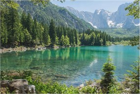 Stílusos Dekoratív Fotótapéta Flizelin Zöld tó 104x70 Ragasztó